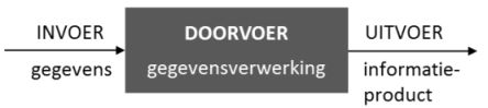 gegevensverwerkend proces invoer doorvoer uitvoer gegevensverwerking